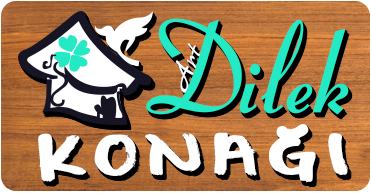 Sapanca’da Rüya Gibi Bir Tatil Deneyimi: Dilek Konağı’nda Konfor ve Doğallık