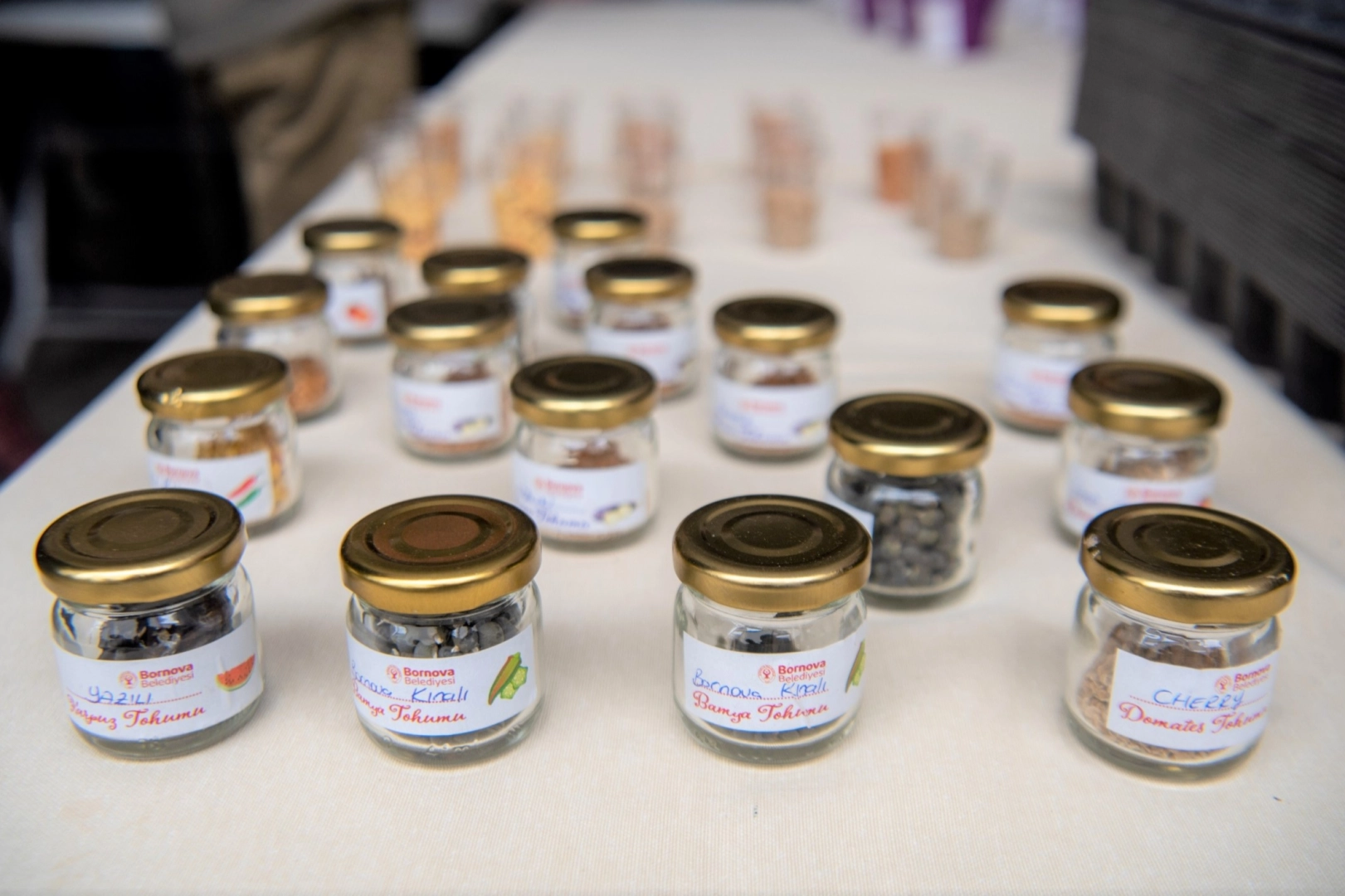 İzmir Bornova Tohum Takas Şenliği'ne hazırlanıyor