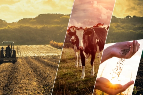 5,6 milyar TL'lik destekleme ödemeleri yapılıyor