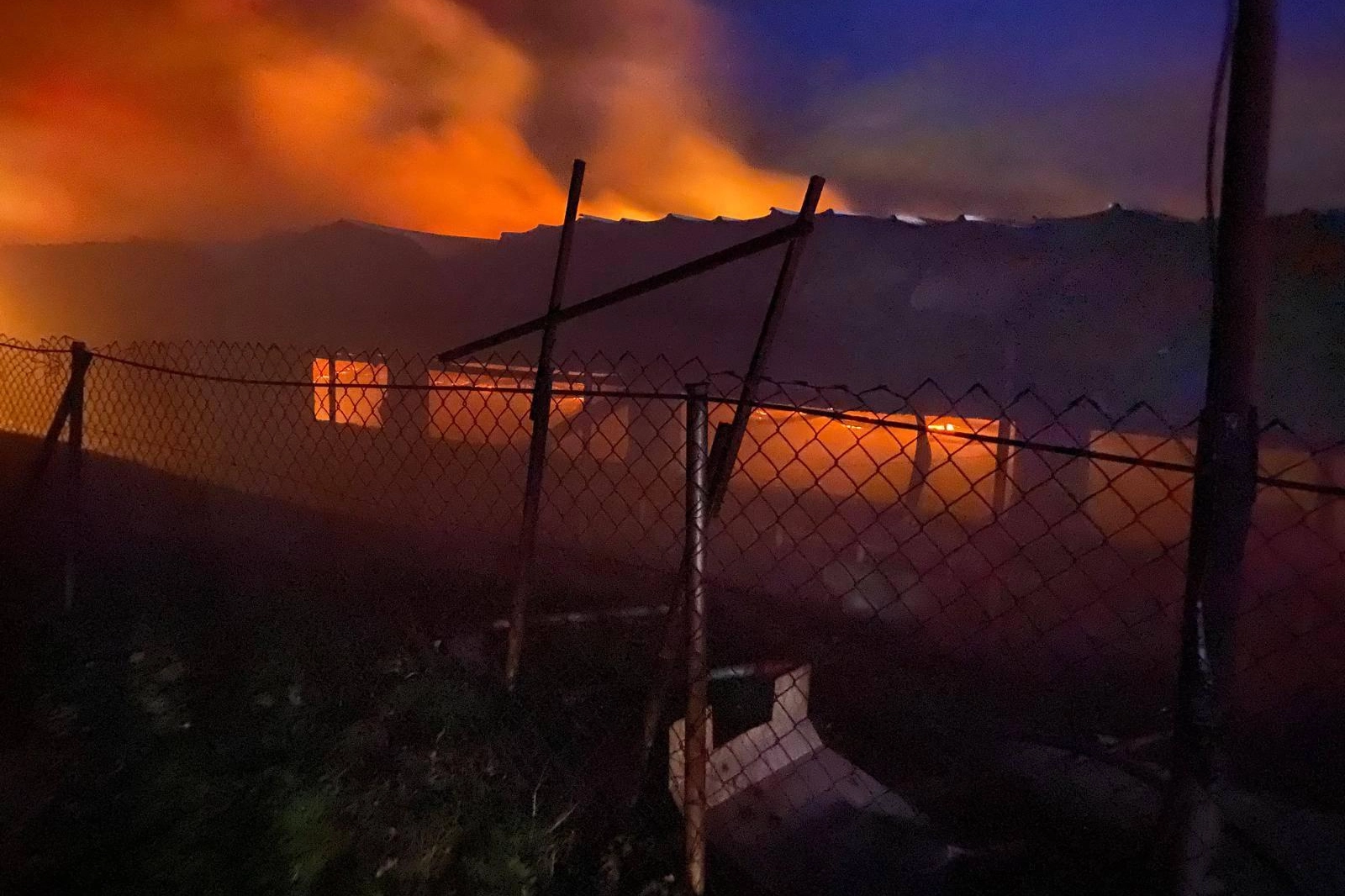 Bilecik Pazaryeri'nde tavuk çiftliğinde korkutan yangın!