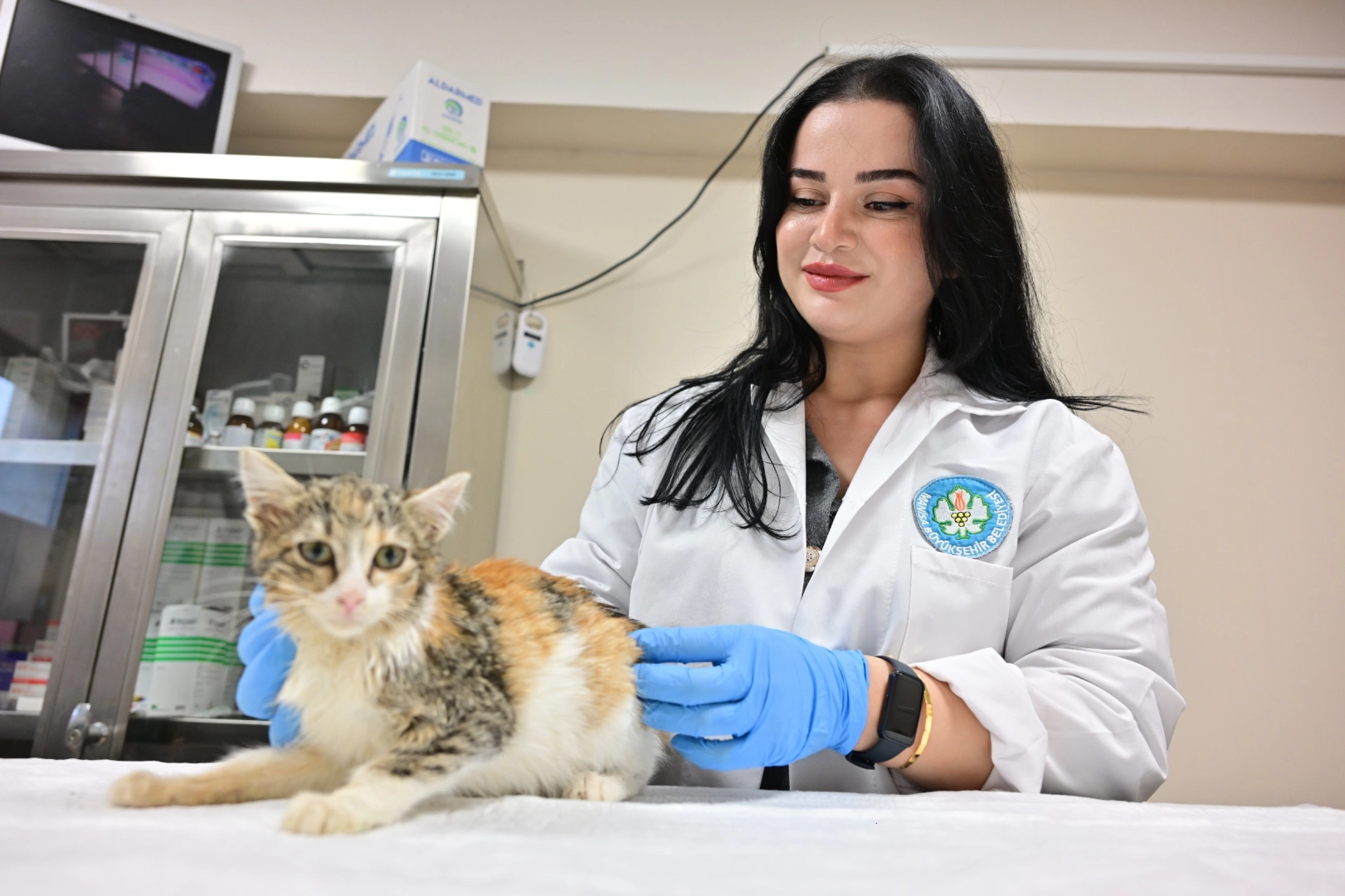 Manisa'da kısırlaştırılan kedi sayısı 3 bini geçti