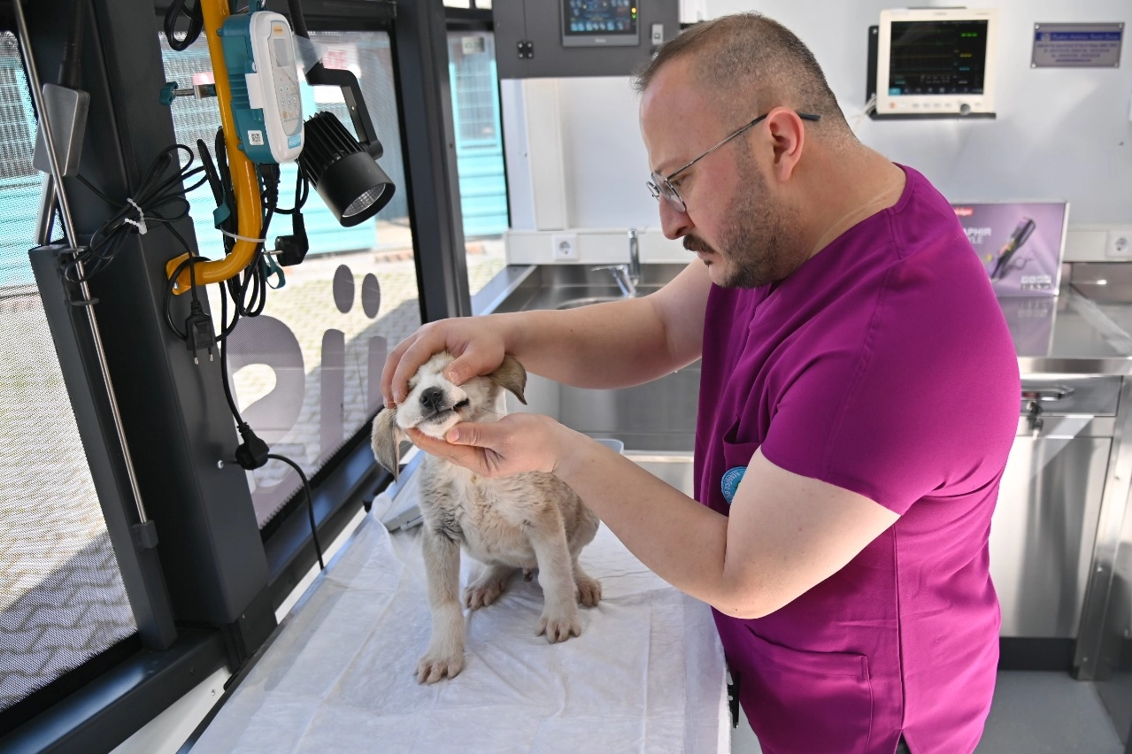 Manisa'da Vetbüs projesi hizmete başladı