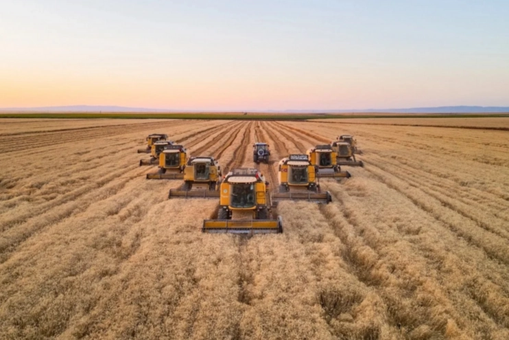Karacabey TİGEM’den mısır hasadı ihalesi
