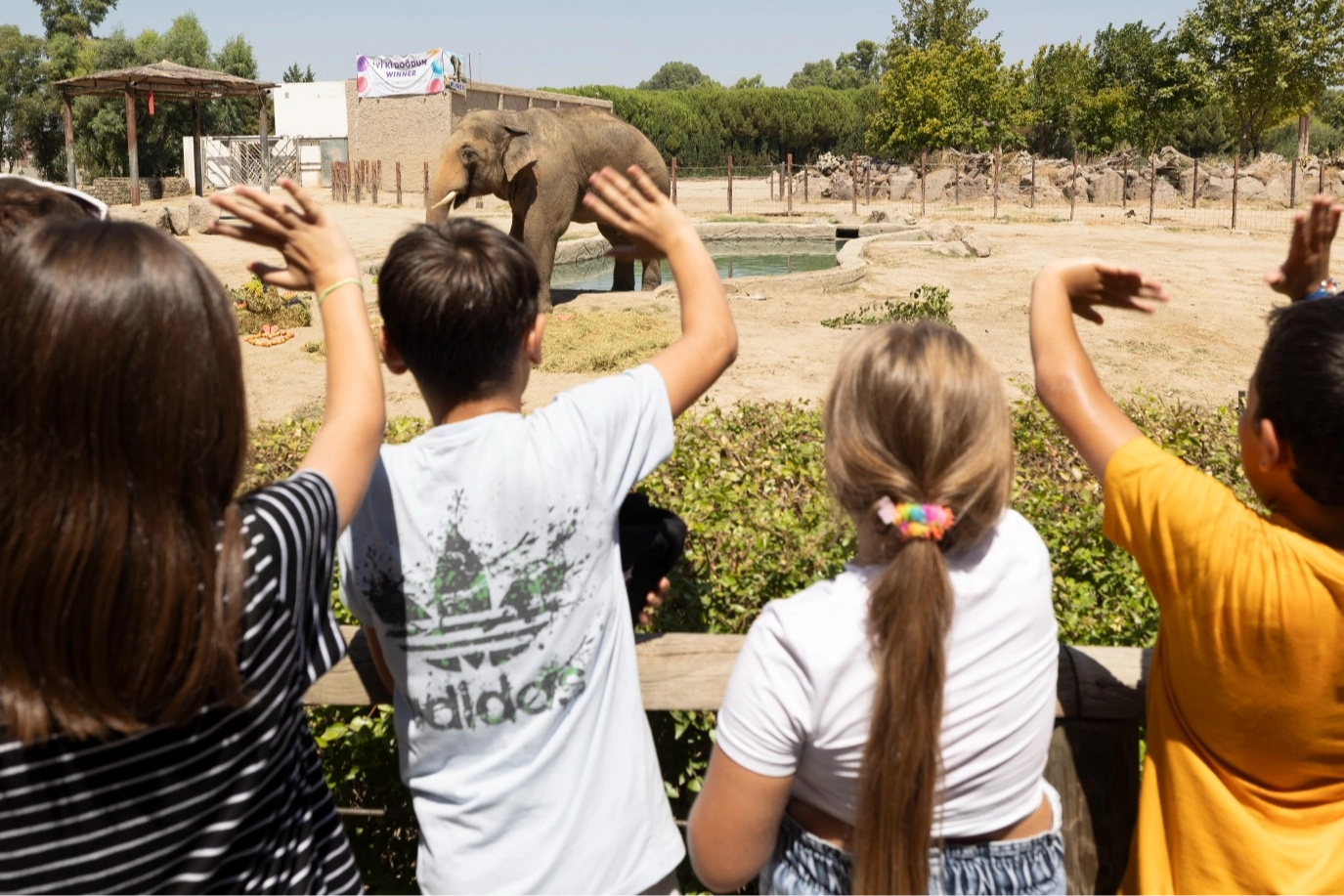 İzmir'de 'Doğal Yaşam'a girişler 27 Nisan'a kadar ücretsiz