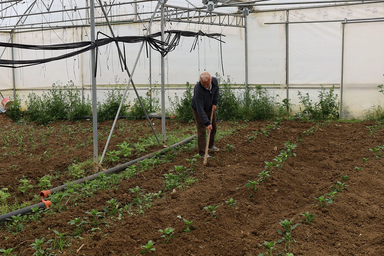 Kocaeli’nde üreticilere yüzde 50 hibeli modern sera desteği