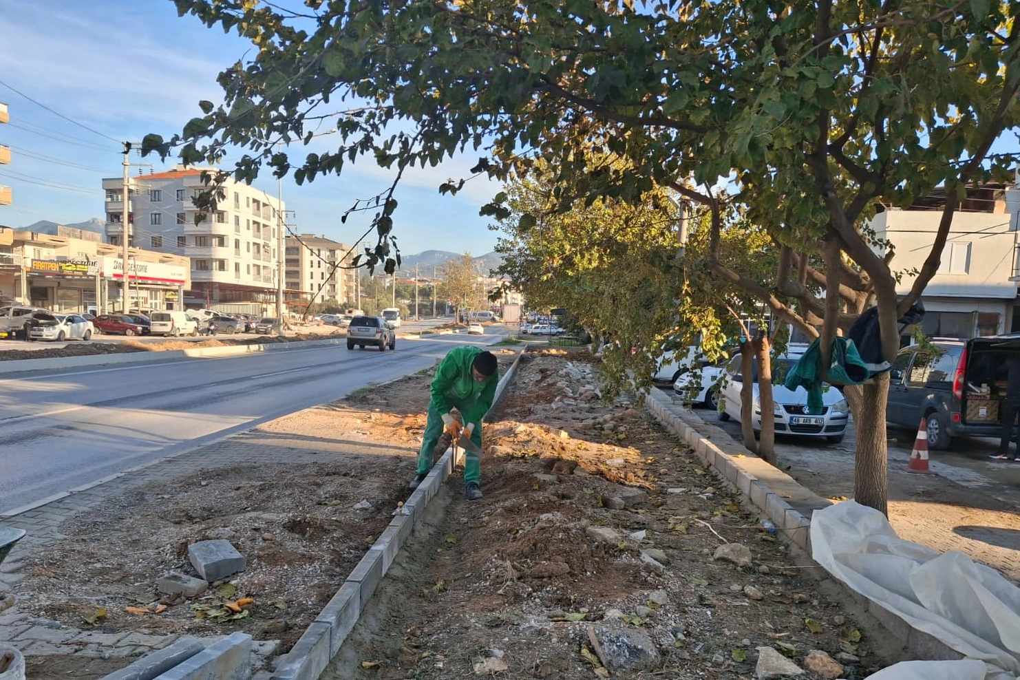 Muğla Milas'ın dört bir yanı yeşile bürünüyor