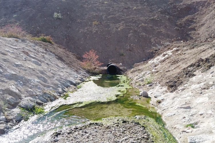 ASKİ, Dikmen, Hatip, Kepir ve Kutugün Dereleri ile yağmur suyu