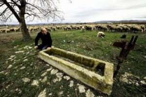 Bursa’nın Yenişehir ilçesinde tarım ve hayvancılığın vazgeçilmezleri arasındaki yer altı