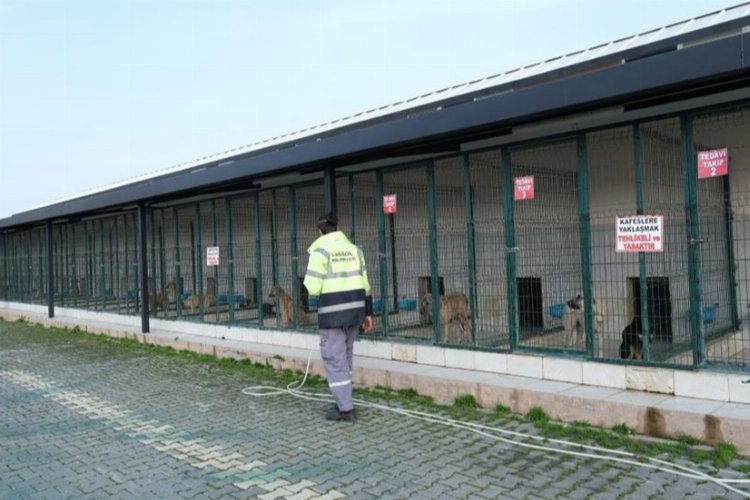 Bursa’da İnegöl Belediyesi’nin Veteriner İşleri Müdürlüğü bünyesindeki Sahipsiz Hayvanlar Bakım