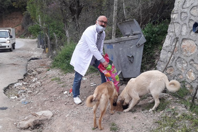 Dünya Türk Birliği Güney Marmara ve Bursa Bölge Başkanı, CANVET