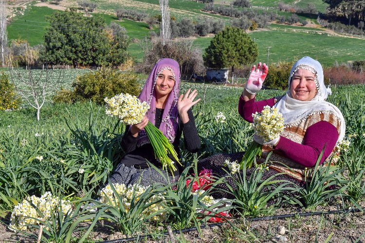 Mersin Büyükşehir Belediyesi, hayata geçirdiği projelerle üretimi ve üreticiyi desteklemeye