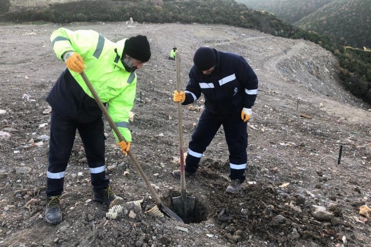 Kocaeli’nin tüm bölgelerinde ağaç dikim çalışmalarını sürdüren Büyükşehir’in son durağı