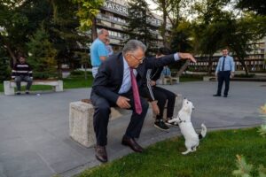 Kayseri Büyükşehir Belediyesi, gerek sokak hayvanları gerekse belediyeler bünyesindeki hayvan