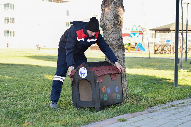 Mustafakemalpaşa Belediyesi Veteriner İşleri Müdürlüğü ekipleri, soğuk kış aylarında sokakta