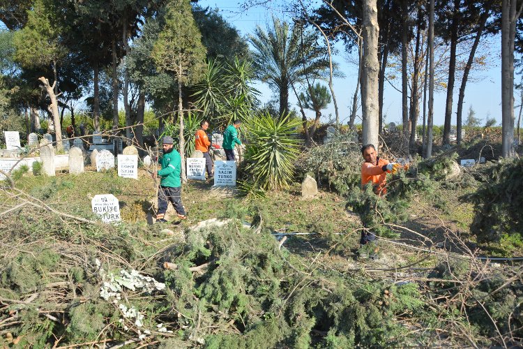 Mersin Büyükşehir Belediyesi Muhtarlık İşleri Dairesi Başkanlığı Tarsus-Çamlıyayla Koordinasyon Şube