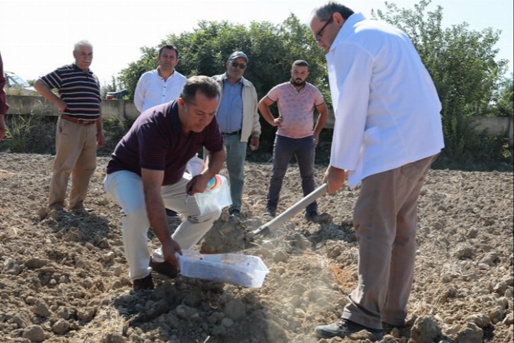 Denizli Büyükşehir Belediyesinin, çiftçilerin ürün verimini artırarak gübre maliyetlerini düşürmek