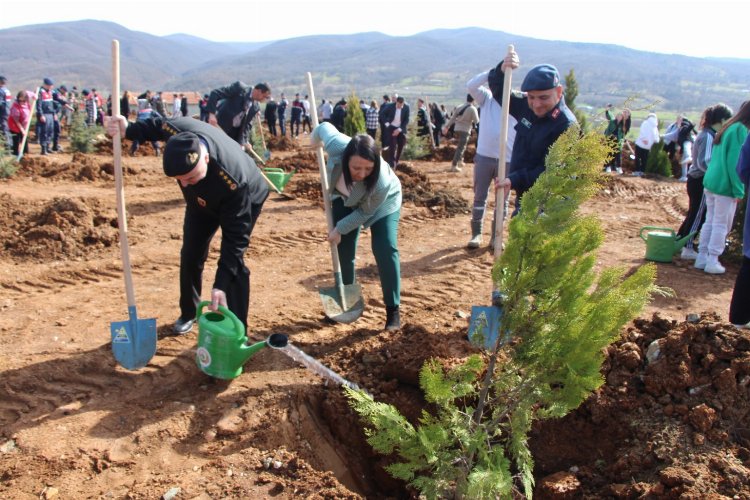 Bilecik’in Pazaryeri ilçesinde 21 Mart Dünya Ormancılık Günü ve Orman