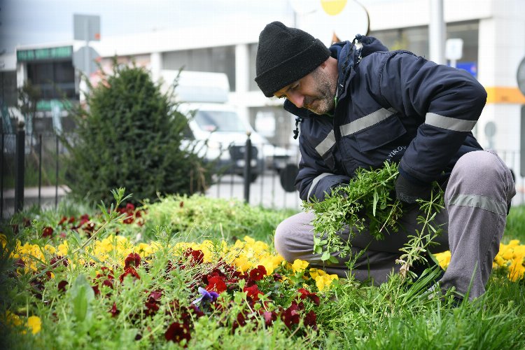 Çayırova Belediyesi Park Bahçeler Müdürlüğü ekipleri, ilçedeki mesire alanları ve