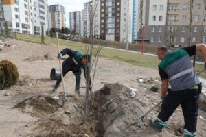 Kayseri’nin Talas Belediyesi, ilkbahar mevsiminin gelmesiyle birlikte ağaç dikim çalışmalarına