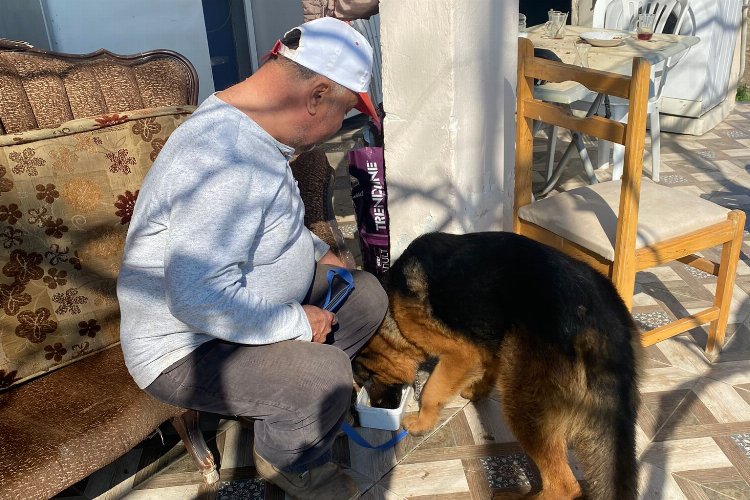 Manisa Büyükşehir Belediyesi tarafından başlatılan Can Dostum ve Can Yoldaşım