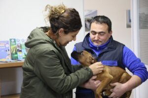 Depremin 15.gününde Hatay’da enkaz altından sağ çıkarılan Boxer cinsi köpek