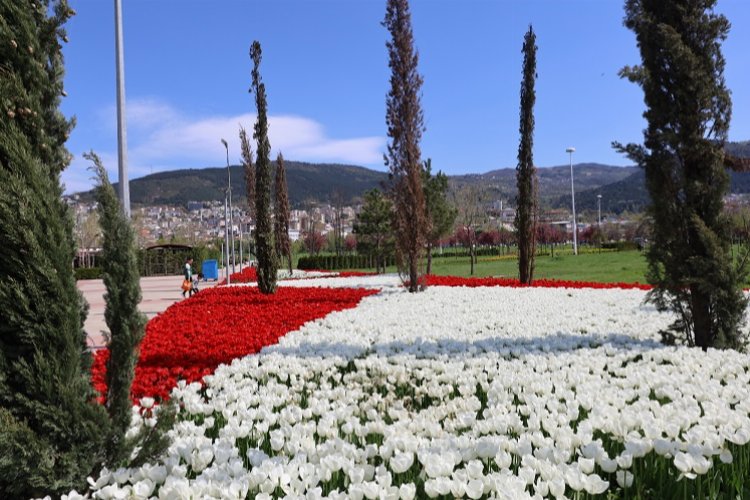 Bursa Büyükşehir Belediyesi bir taraftan alt ve üst yapı yatırımlarıyla