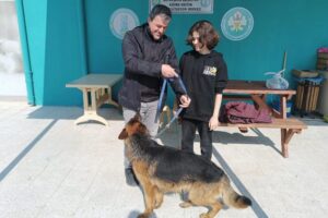 Manisa Büyükşehir Belediyesi Sağlık İşleri Dairesi Başkanlığı Köpek Eğitim ve