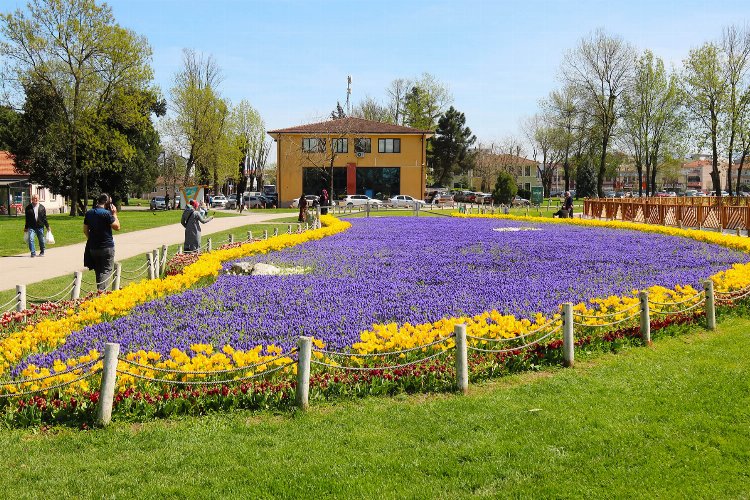 Sakarya Büyükşehir Belediyesi Kent Park, Sakarya Millet Bahçesi, Şemsiyeli Park