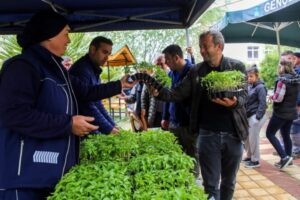 Eskişehir Büyükşehir Belediyesi Yerel Tohum Merkezi’nde üretilen yerel tohumlardan elde