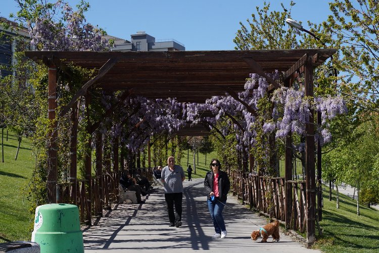 Beylikdüzü Belediyesi, ilkbahar ve yaz döneminin gelmesiyle birlikte ilçedeki bakım,