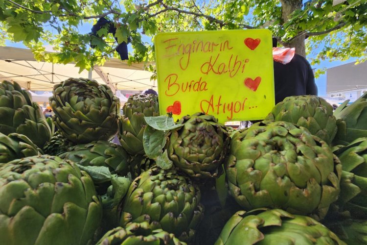 İzmir’de Urla Enginar Günleri’nde Urla’ya gelen ziyaretçiler birbirinden lezzetli tariflerle