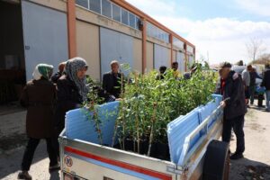 Konya Büyükşehir Belediyesi’nin şehir genelinde çiftçiye desteği artarak sürüyor. KONYA