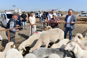 Antalya’da Muratpaşa Belediye Başkanı Ümit Uysal, yaklaşan Kurban Bayramı öncesi