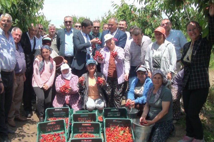 Enez Çeribaşı Kiraz Hasat Şenliği dün Çeribaşı Köyü’nde gerçekleştirildi. Erdoğan