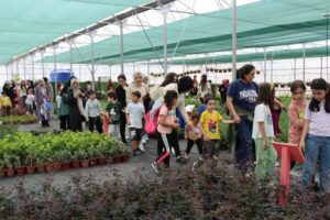 Kocaeli’de İzmit Belediyesi Park ve Bahçeler Müdürlüğü ekipleri, Ekolojik Yaşam