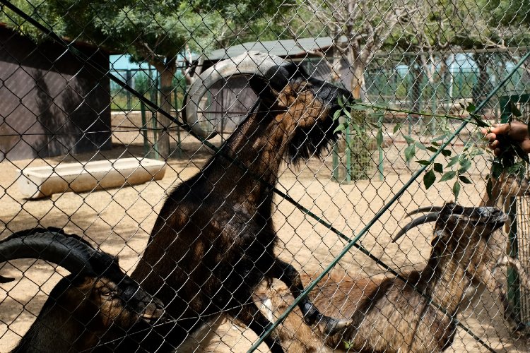 Malatya Büyükşehir Belediyesi’ne ait bölgede tek olma özelliğine sahip olan