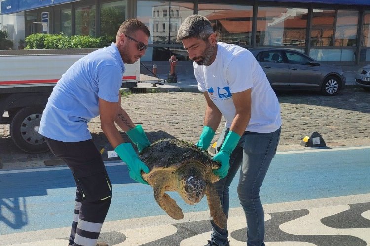 İzmir Büyükşehir Belediyesi Deniz Koruma Şube Müdürlüğü ekipleri, körfez temizliği