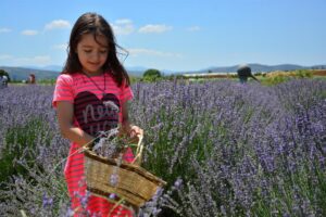 Türkiye ve dünyanın tek Aromaterapi Festivali, 6 Temmuz’da kapılarını 4’üncü