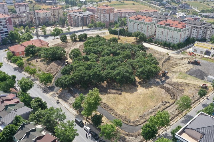 İstanbul Beylikdüzü’ndeki yeşil alanların sayısını artırmaya devam eden Beylikdüzü Belediyesi,