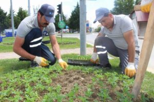 Antalya Büyükşehir Belediyesi Park Bahçeler Dairesi Başkanlığı’na bağlı ekipleri kent