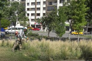 Malatya’da park ve dinlenme alanlarında bulunan çadırların kaldırılmasının ardından Büyükşehir