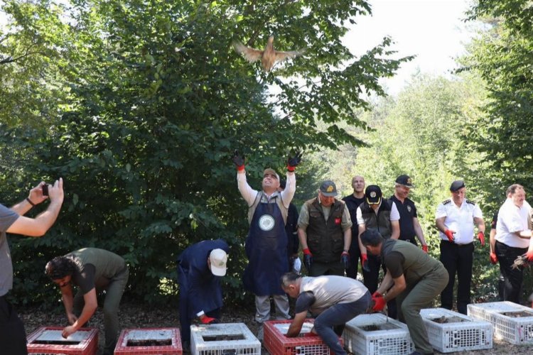 Yaban hayvanlarının korunması ve popülasyonunun artırılması amacıyla yürütülen proje kapsamında,