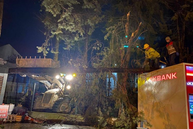 Ordu’da akşam saatlerinde etkili olan fırtına sebebiyle çatılar uçtu, ağaçlar