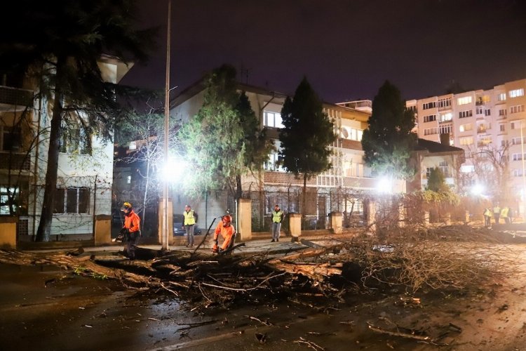 Eskişehir Büyükşehir Belediyesi Park Bahçeleri Dairesi ekiplerinin araç ve yaya