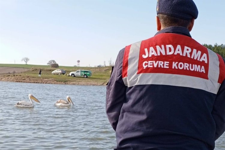 Edirne İl Jandarma Komutanlığı, sorumluluk bölgesinde çevre, doğa ve hayvanların