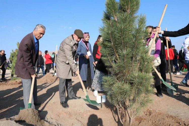 Kocasinan Belediyesi, yeşil alanda da yeni rekora hazırlanıyor. Bilindiği üzere