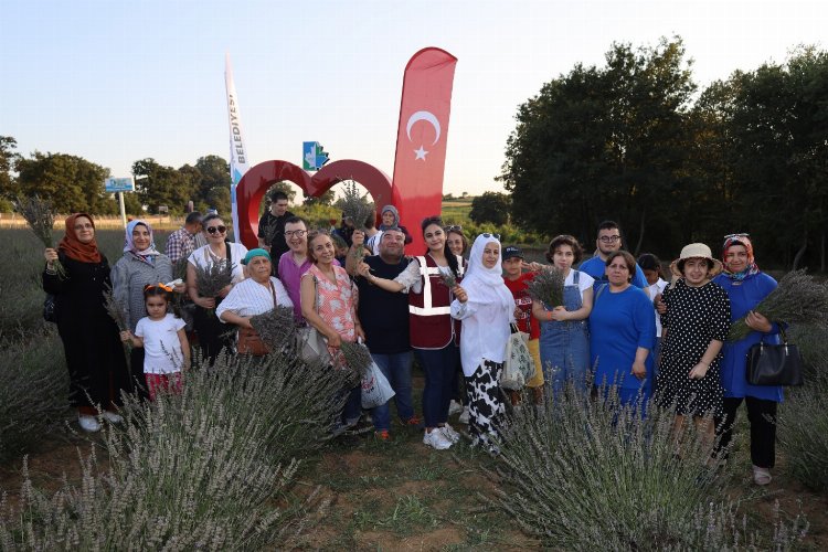 İzmit Belediyesinin Durhasan Mahallesi’nde bulunan Lavanta Bahçesi’nde gerçekleştirilen hasat etkinliğinde,