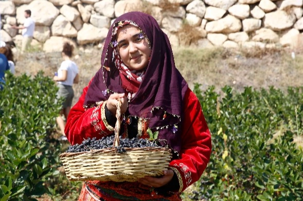 Antalya Büyükşehir Belediyesi’nin teşvik ve destekleriyle üreticilere alternatif ürün olarak