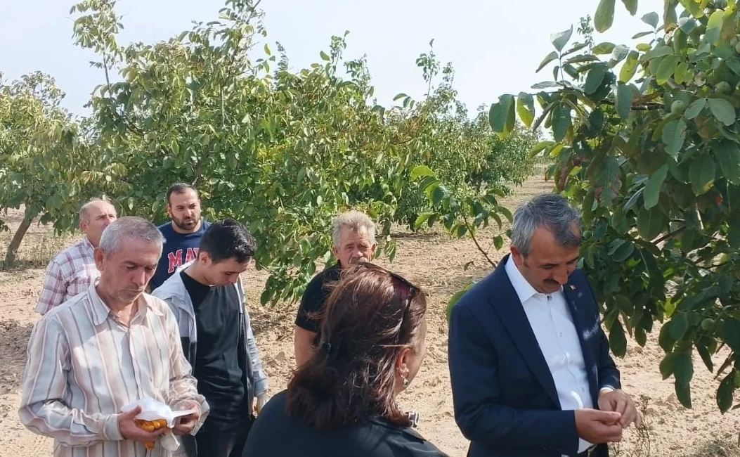 Edirne Valisi Yunus Sezer, Uzunköprü’ye bağlı Kurtbey Köyü’ne giderek ceviz