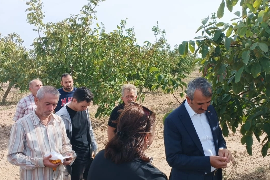 Edirne Valisi Yunus Sezer, Uzunköprü’ye bağlı Kurtbey Köyü’ne giderek ceviz